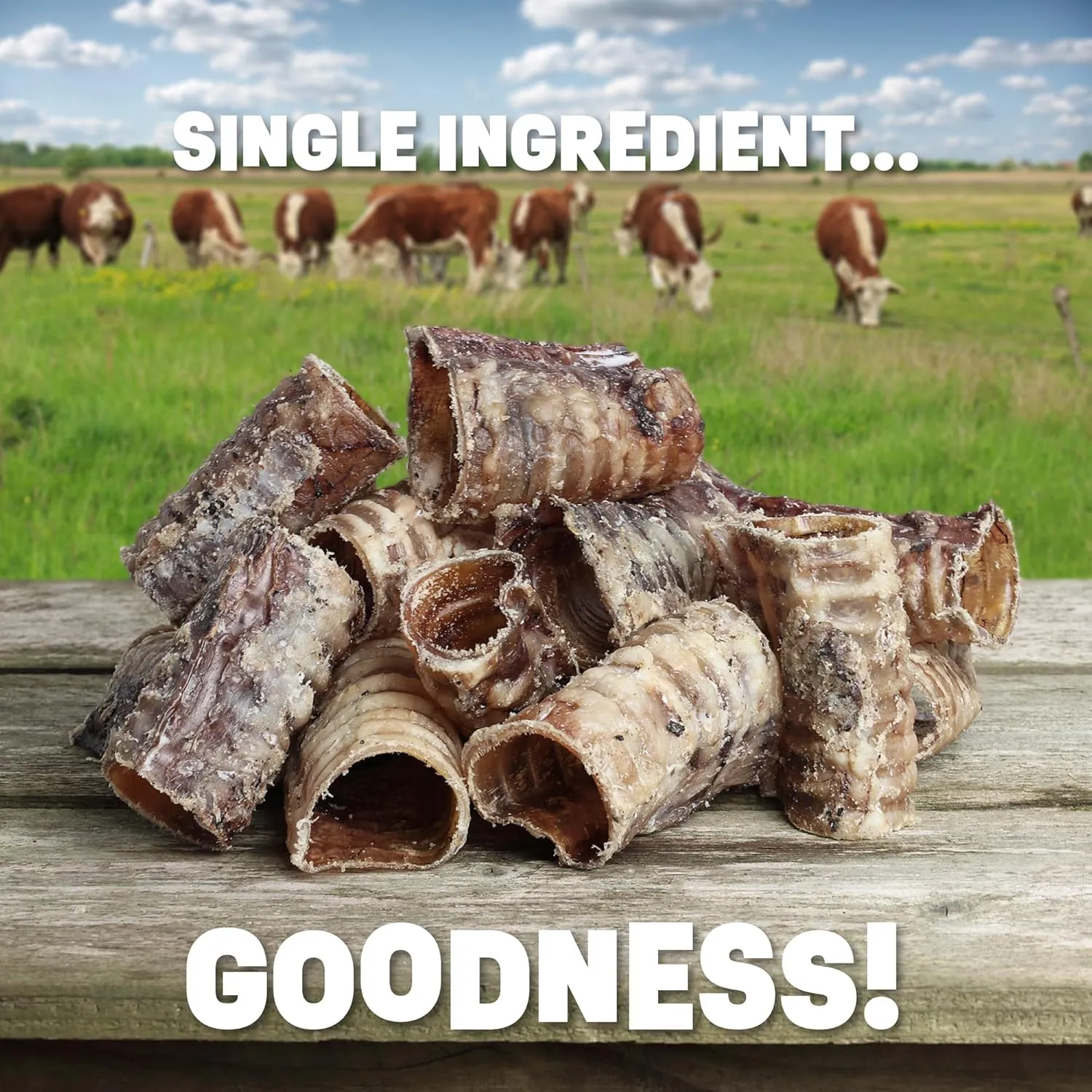 7" Beef Trachea Dog Training Treats | Dental Chews for Dogs | All Natural Dog Treats Made in USA | Beef Esophagus Low Calorie Dog Treats for Joint Health Support (7 Inch Tracheas - 7 Pack)