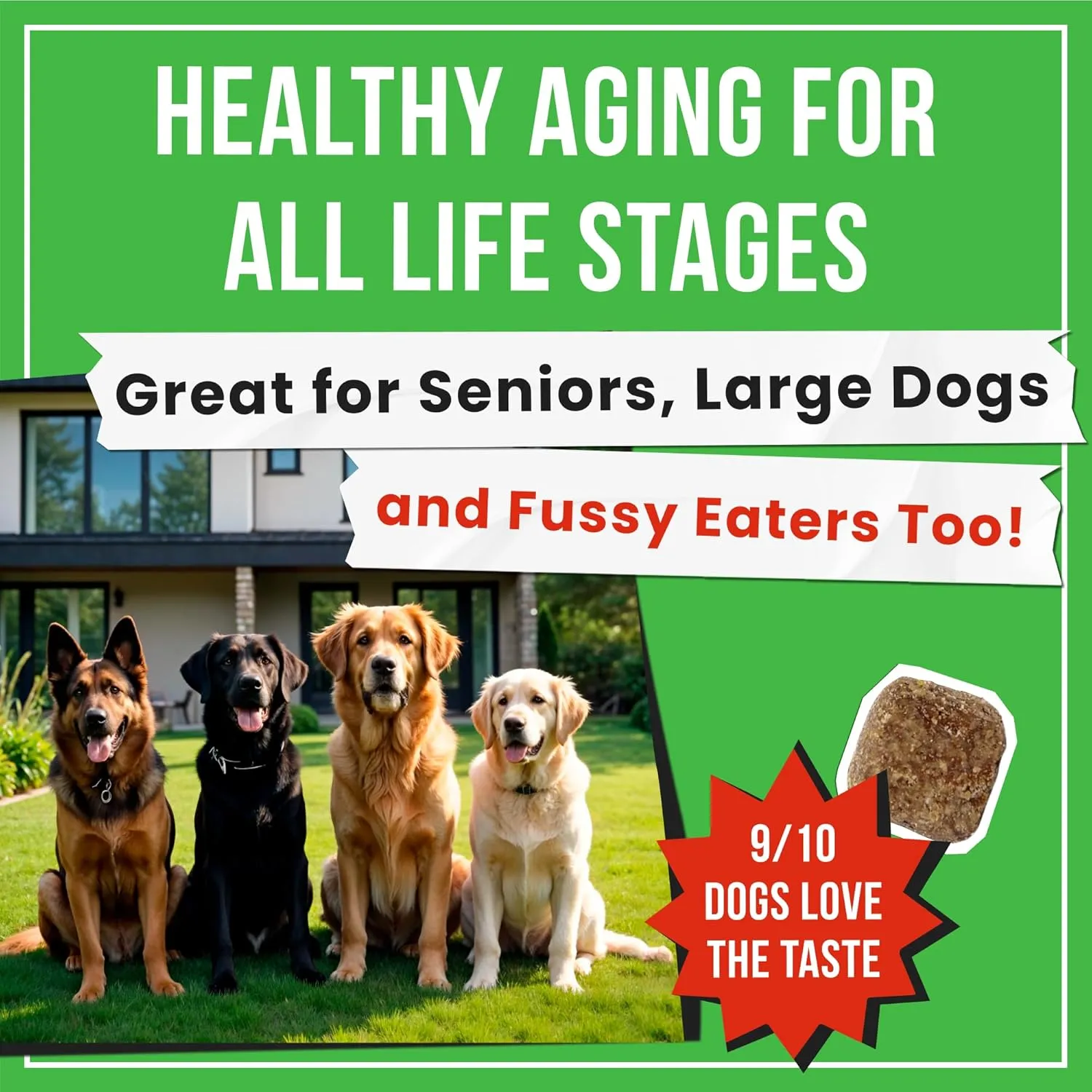 Advanced Hemp Hip & Joint Supplement for Dogs - Glucosamine for Dogs - Dog Joint Pain Relief Treats - Chondroitin Turmeric MSM Hemp Oil - Hemp Treats for Joint Health - Senior Mobility Support Chew