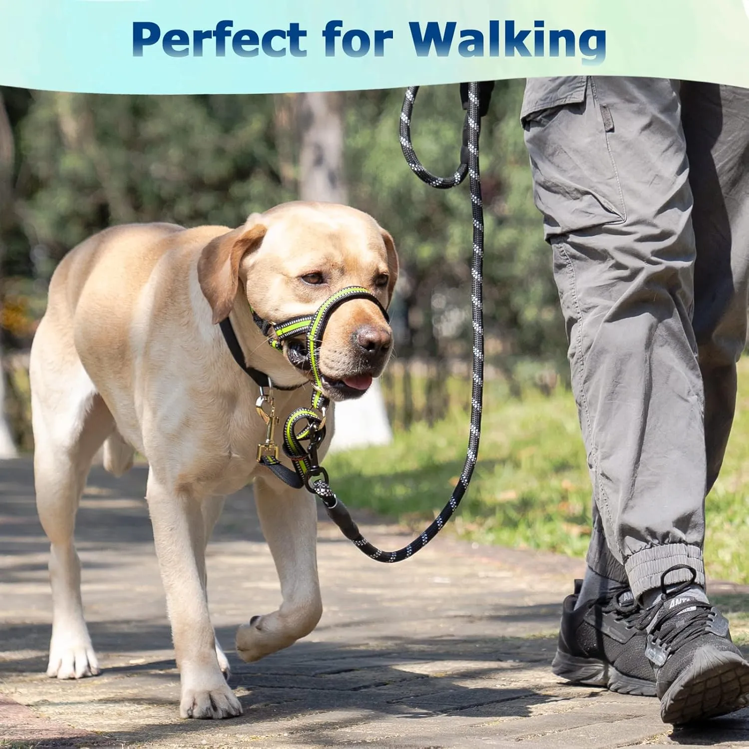 BARKLESS Muzzle Leash for Heavy Pullers, No Pull Stylish Head Halter for Small and Medium Aggressive Dogs, Gentle Dog Face Harness Stops Pet Pulling and Choking on Walks, Adjustable Head Collar