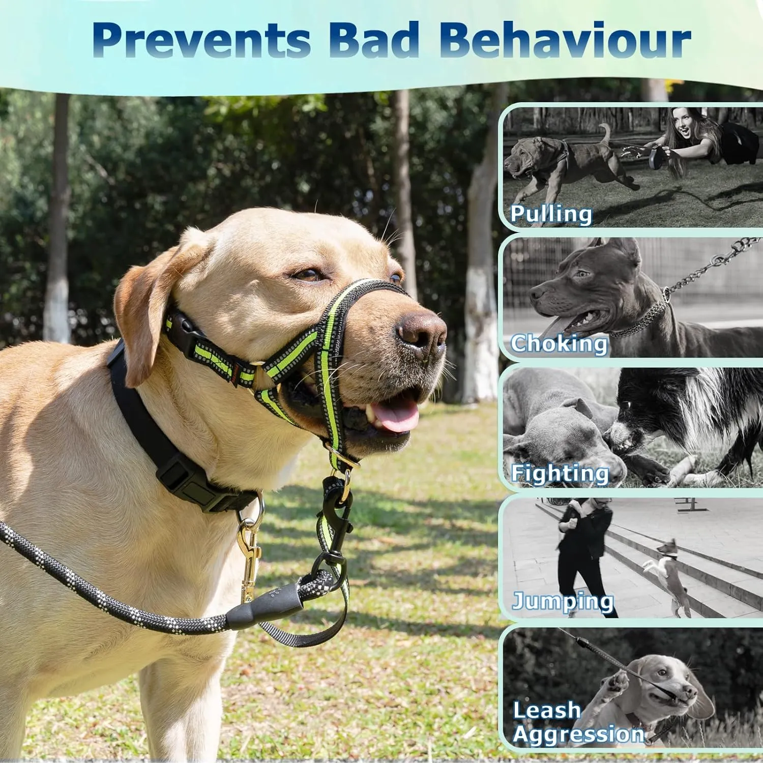 BARKLESS Muzzle Leash for Heavy Pullers, No Pull Stylish Head Halter for Small and Medium Aggressive Dogs, Gentle Dog Face Harness Stops Pet Pulling and Choking on Walks, Adjustable Head Collar