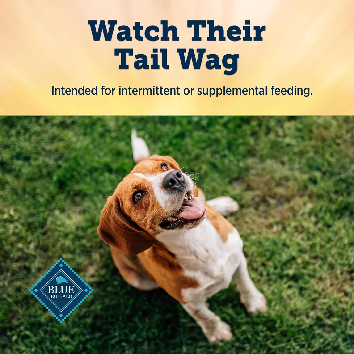 Blue Buffalo True Chews Premium Jerky Cuts Dog Treats with Natural Ingredients Chicken