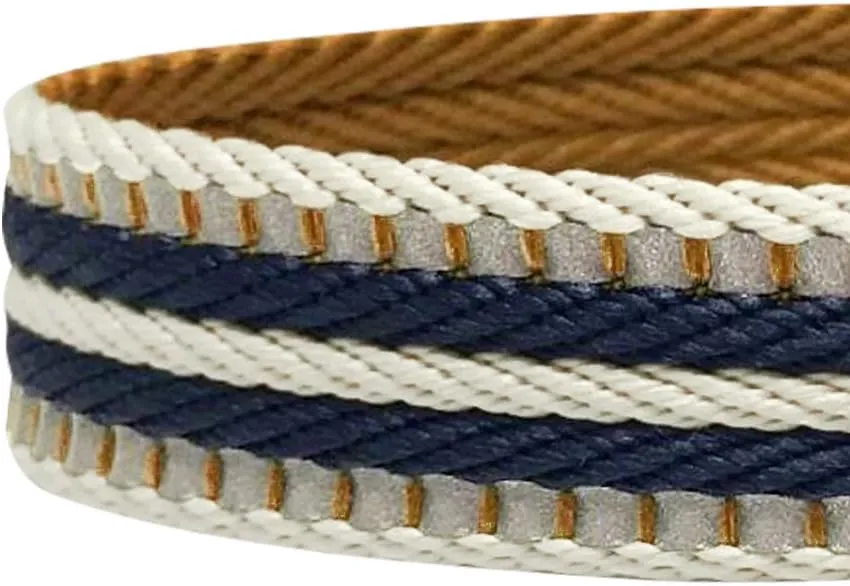 Blueberry Pet 3M Reflective Dog Leash with Soft & Comfortable Handle - Multi-Colored Stripe Olive & Blue-Gray - Size Small