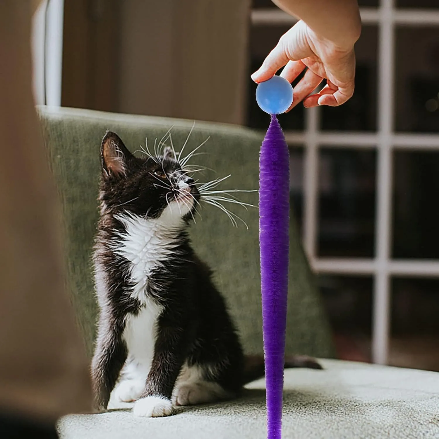 Bouncy Ball with Tail Cat Toys,5 Packs Magic Worm with Ball Toy for Cats,Fuzzy Worm Bouncy Balls Cat Toy