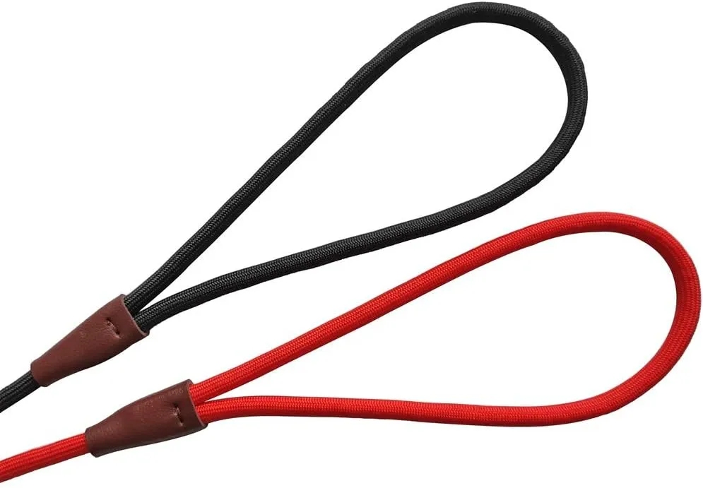 BTINESFUL 7ft Slip Lead Dog Leash, Strong Nylon Rope Leash, 1/4" Dog Training Lead for Small Medium Dogs, 14  Colors (1/4" * 7 FT, Black)