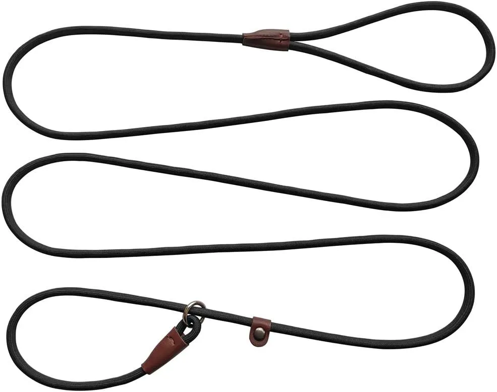 BTINESFUL 7ft Slip Lead Dog Leash, Strong Nylon Rope Leash, 1/4" Dog Training Lead for Small Medium Dogs, 14  Colors (1/4" * 7 FT, Black)