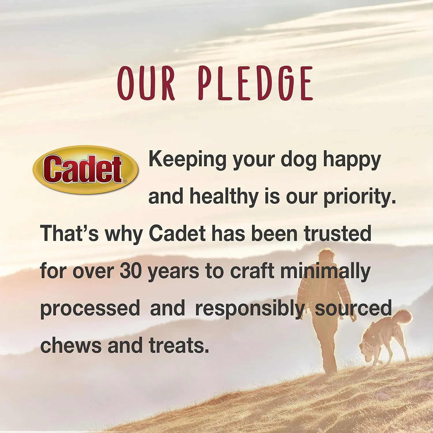 Cadet Gourmet Chicken Wrapped Biscuit Dog Treats, Training Treats for Small and Large Dogs, Inspected & Tested in USA, 14 oz.