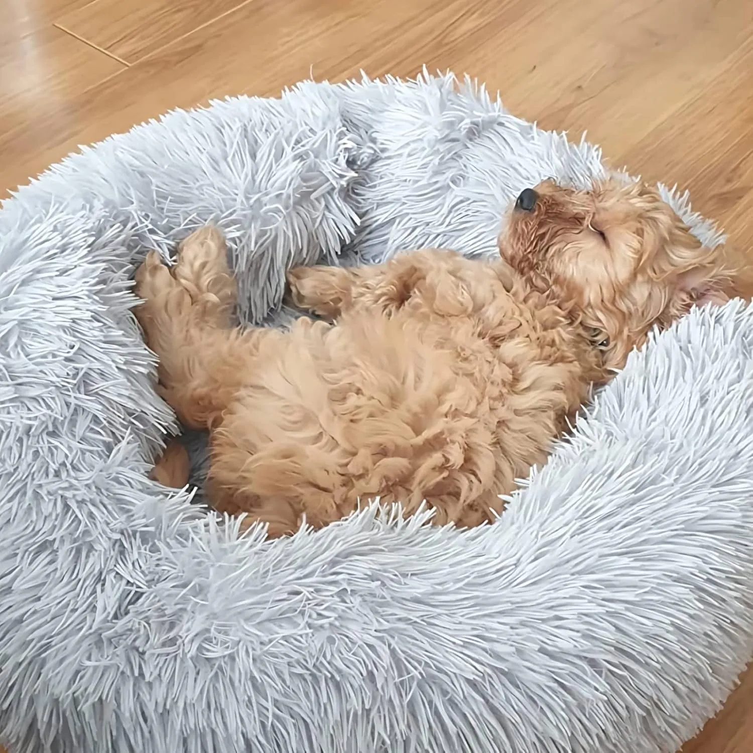 Calming Dog Bed for Small Dogs Round Fluffy Self Warming Pet BedGray Donut Cuddler pet Bed for PuppiesXS Dog Bed Washable.