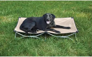 Carlson Pet Products Large Portable Pup Travel Pet Bed, Tan
