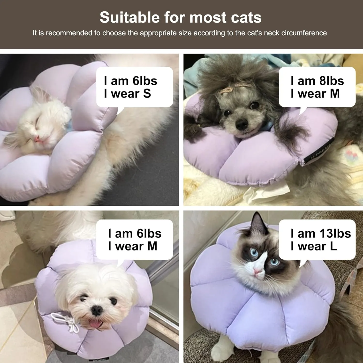 Cat Cone Collar,Cute Waterproof Cat Recovery Collar,Anti-Bite Lick Wound Healing Safety Elizabethan e Collar for Cats,Purple Flower All-Season Style