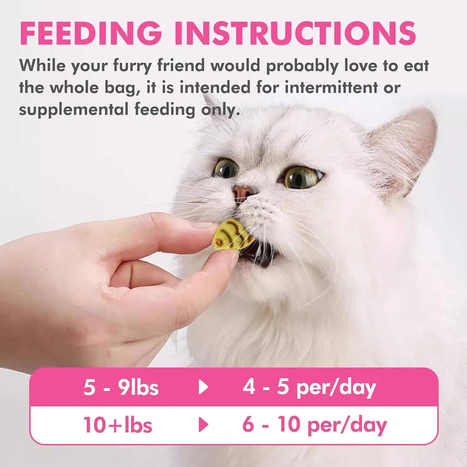 Catnip Cat Treats, Chicken and Salmon Flavor Cat Snacks, Training Biscuits Treats for Cats, Crunchy Fish Shape Adult Cat Biscuits, 16 oz