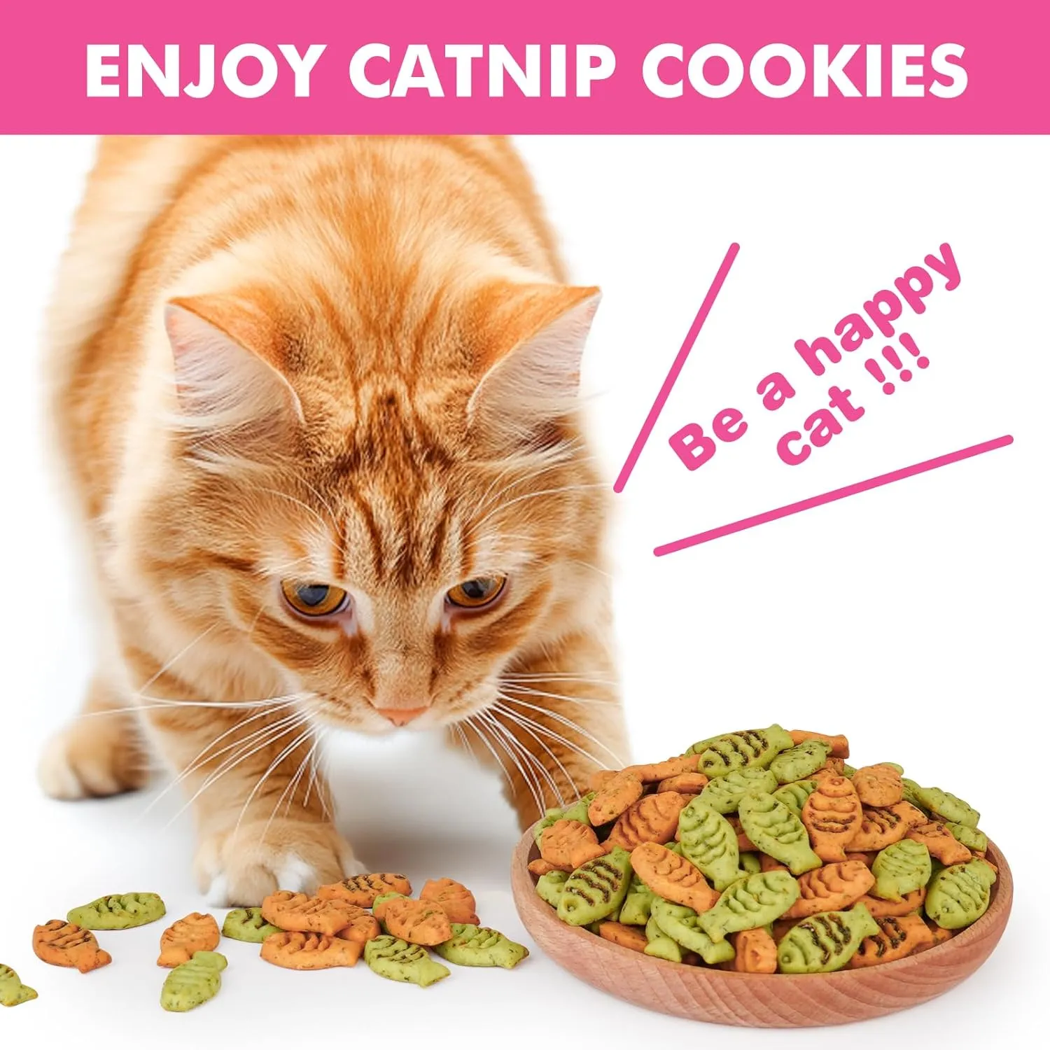 Catnip Cat Treats, Chicken and Salmon Flavor Cat Snacks, Training Biscuits Treats for Cats, Crunchy Fish Shape Adult Cat Biscuits, 16 oz