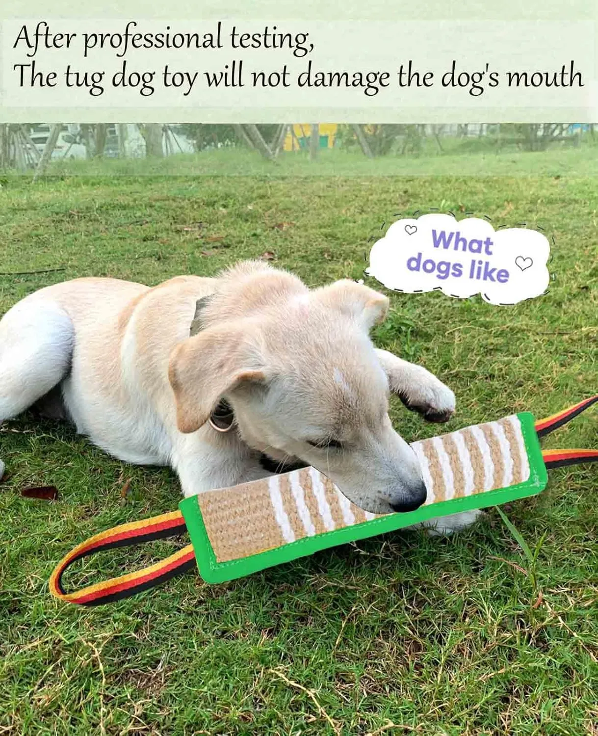 Clysoru Dog Tug Toy Dog Tough Jute Bite Pillow Lasting Training Equipment Two Flag Handles Puppy to Large Dogs Interactive Toy war Toys for Aggressive chewers