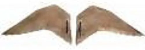 Dokken Dead Fowl Goose Wings WG100