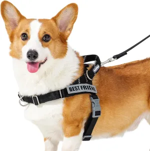Easy Walk Dog Harness and Leash Set, Freedom No Pull Harness with 2 Patches,Escape Proof/Quick Fit to Adjust Dog Vest Harness,Easy for Training Walking for Small,Medium & Large Dogs(Black,M)