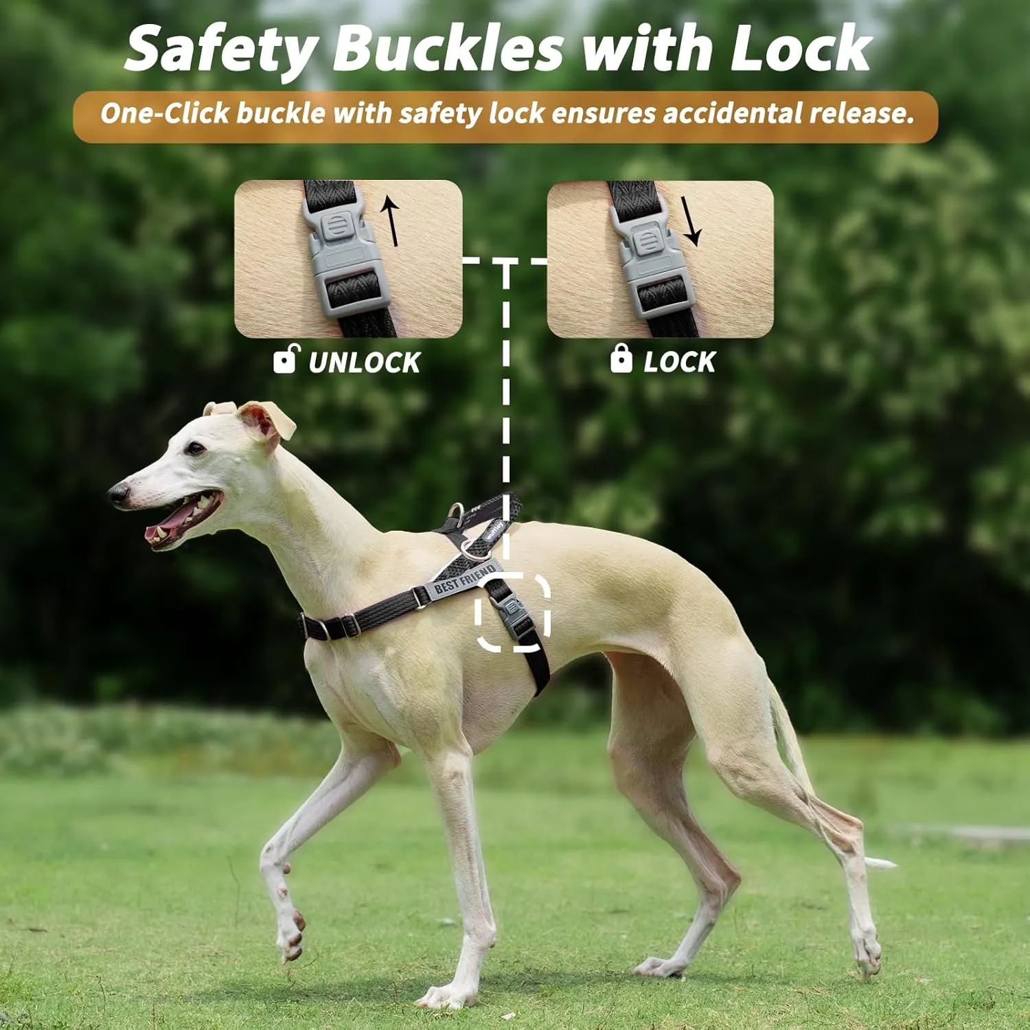 Easy Walk Dog Harness and Leash Set, Freedom No Pull Harness with 2 Patches,Escape Proof/Quick Fit to Adjust Dog Vest Harness,Easy for Training Walking for Small,Medium & Large Dogs(Black,M)