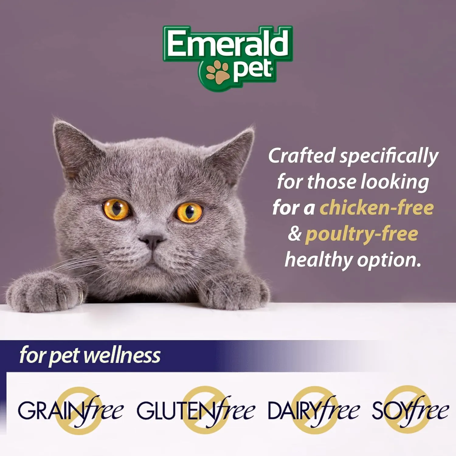 Emerald Pet Wholly Fish! Chicken-Free Feline Treats, Salmon Recipe  Tasty and Crunchy Salmon Cat Treats  Chicken-Free, Grain Free, Natural Cat Treats  Made in USA, 3 oz