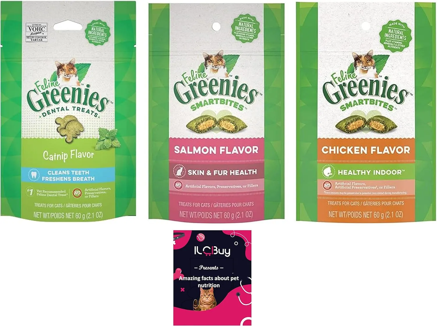 Feline Smartbites Treats for Cats Bundle, 01 Catnip Dental, 01 Salmon Skin&Fur Healthy and 01 Chicken Health Indoor.Total 3 Bags(2.1Oz Each) Plus a Booklet
