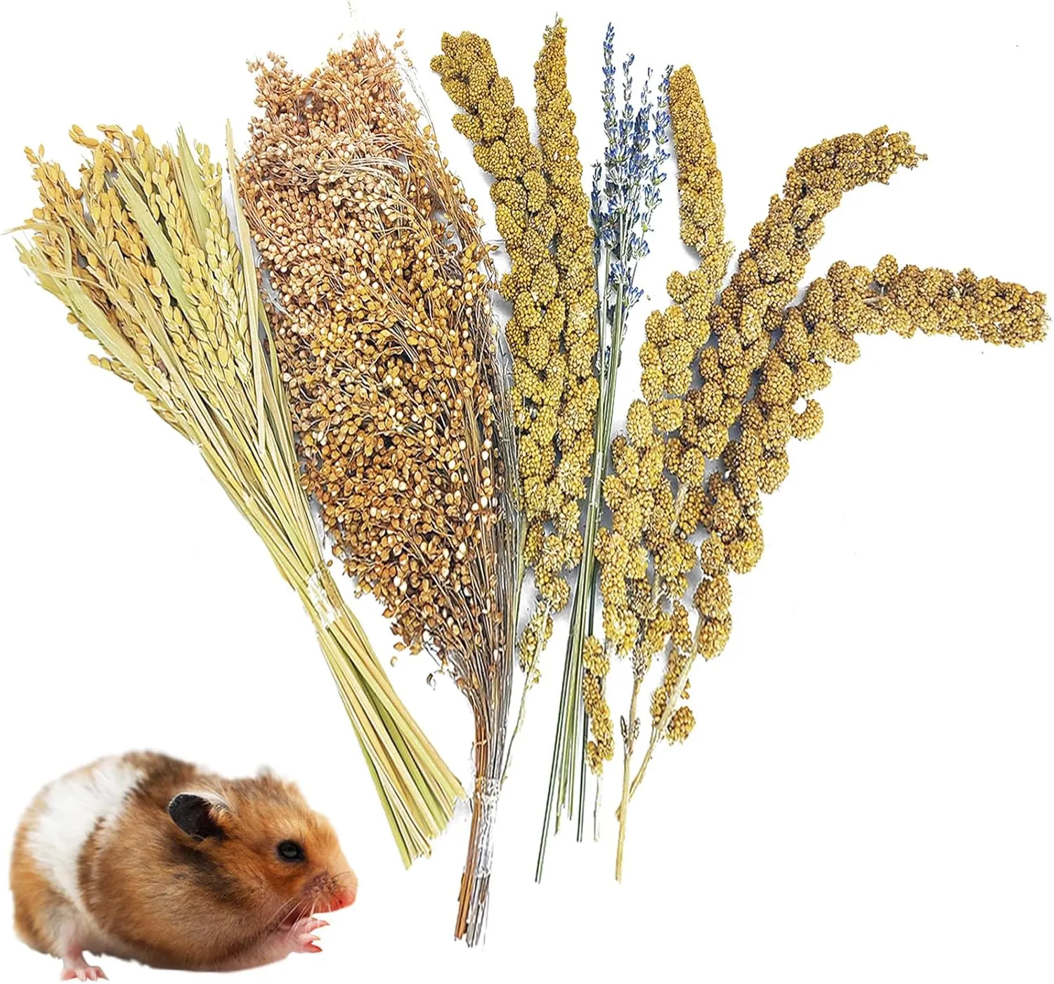 Fhiny Natural Hamster Bedding Mate, Edible Hamster Sprays Flowers & Herbs Gerbil Habitat Enclosure Decor Grain Treats Cage Accessories for Dwarf Syrian Hamster Gerbil Degus Lemming Mice