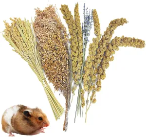 Fhiny Natural Hamster Bedding Mate, Edible Hamster Sprays Flowers & Herbs Gerbil Habitat Enclosure Decor Grain Treats Cage Accessories for Dwarf Syrian Hamster Gerbil Degus Lemming Mice