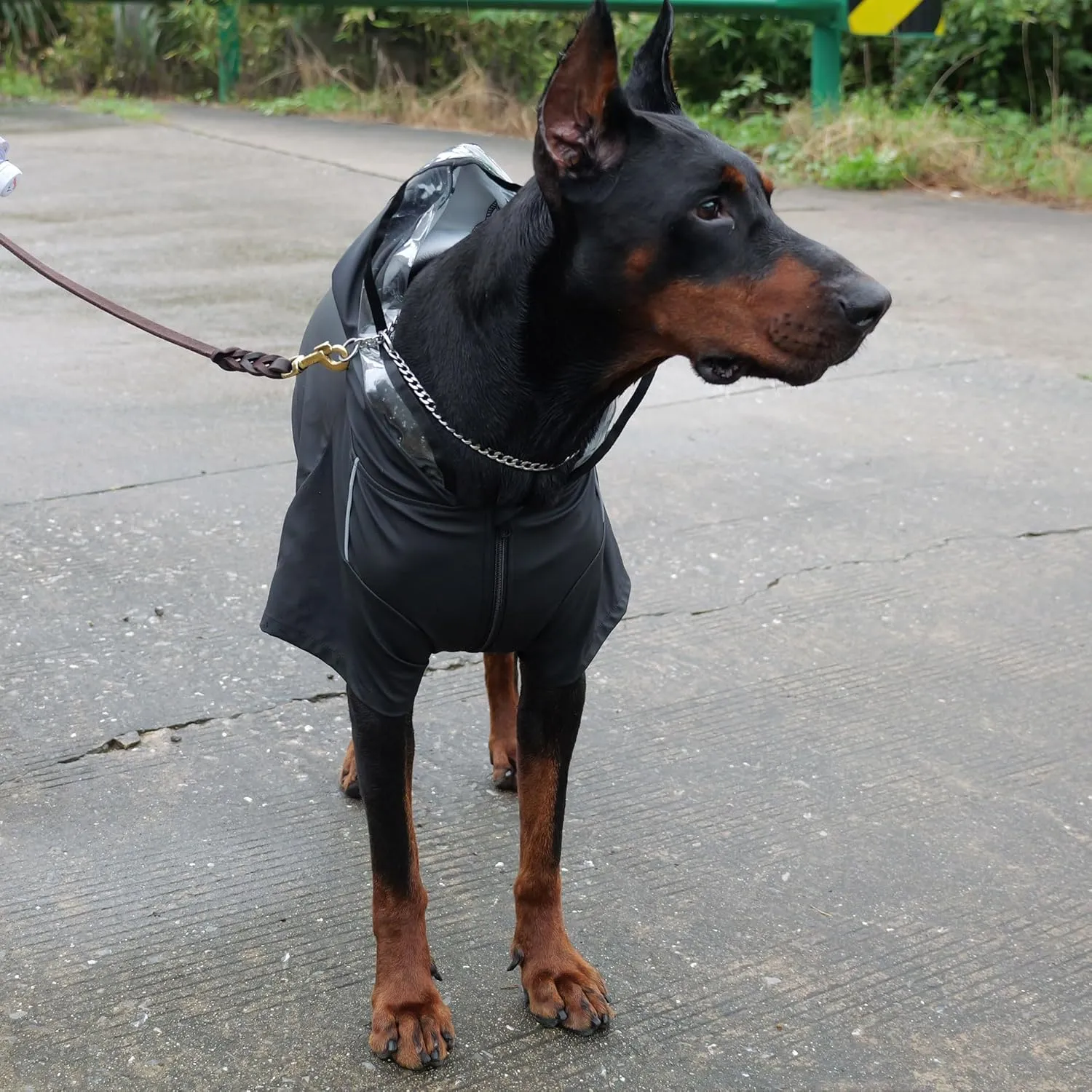 Four-Legged Full Coverage Waterproof Dog Raincoat with Reflective Features Pet Raincoats for Large Medium Small Dogs Black M