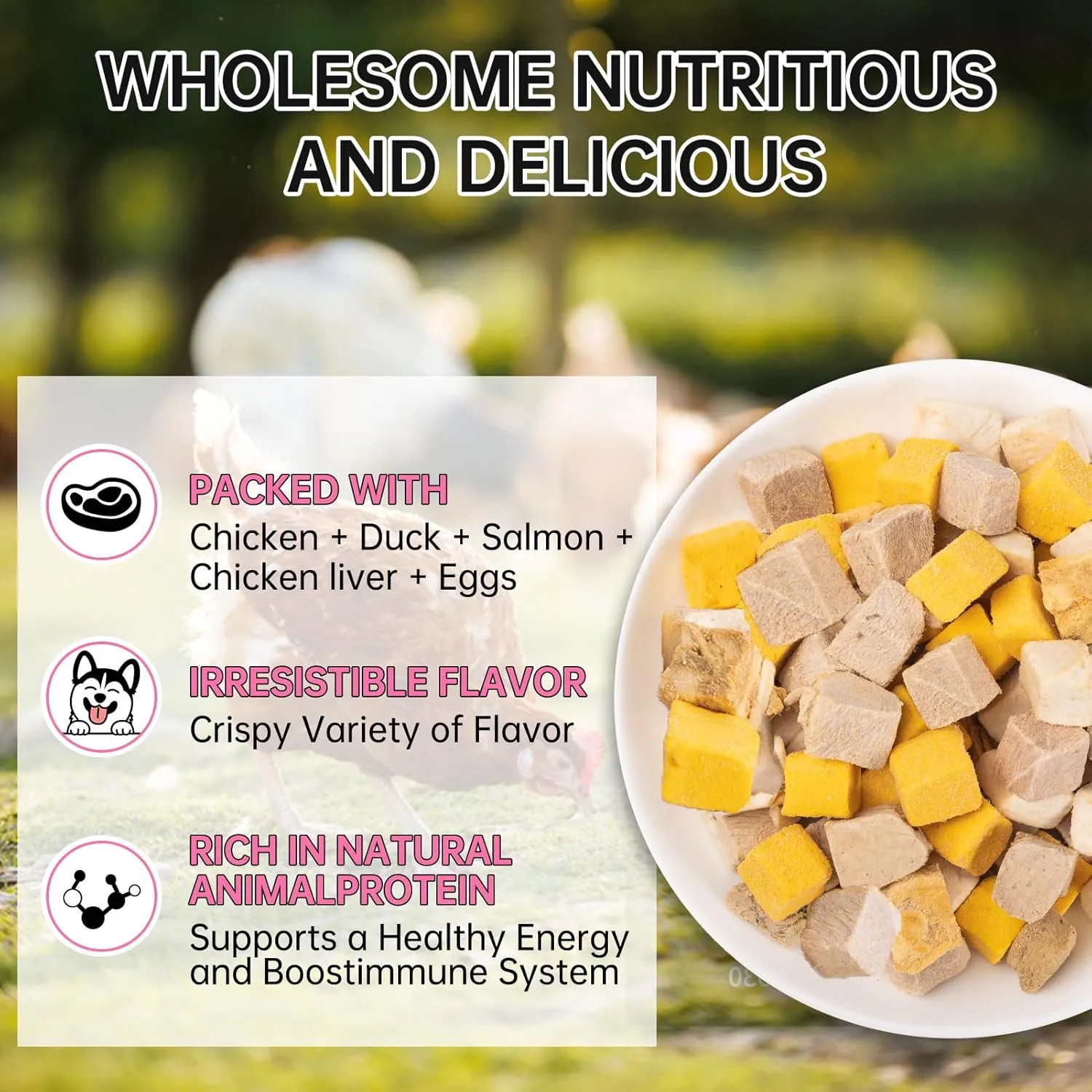 Freeze Dried 5in1 Meat Mix Dog Cat Treats - High Protein Chicken,Duck,Salmon,Egg Yolk & Liver Natural Ingredients Pet Snacks,Grain-Free (5.3oz)