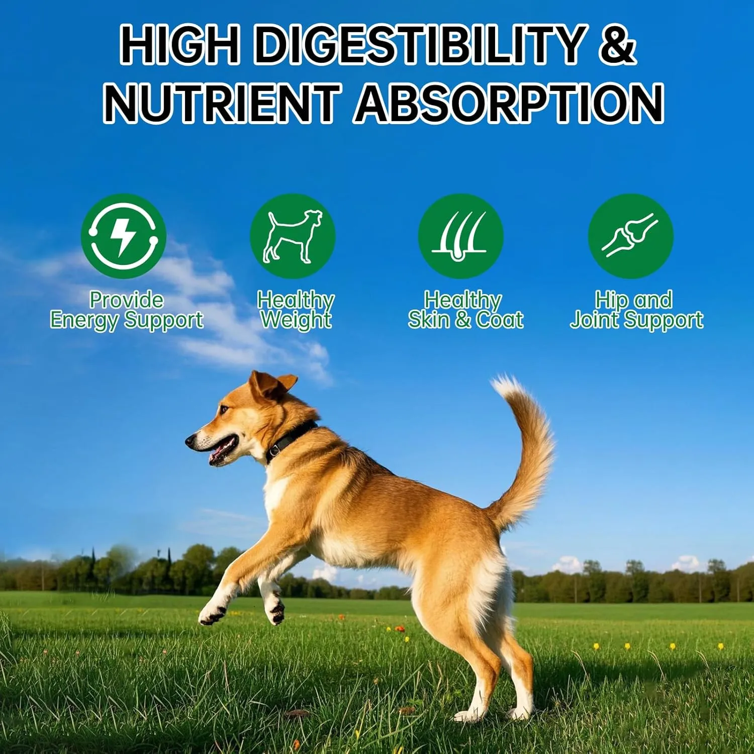 Freeze Dried 5in1 Meat Mix Dog Cat Treats - High Protein Chicken,Duck,Salmon,Egg Yolk & Liver Natural Ingredients Pet Snacks,Grain-Free (5.3oz)