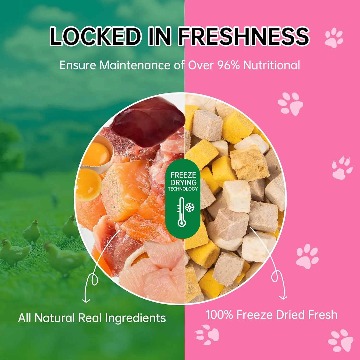 Freeze Dried 5in1 Meat Mix Dog Cat Treats - High Protein Chicken,Duck,Salmon,Egg Yolk & Liver Natural Ingredients Pet Snacks,Grain-Free (5.3oz)