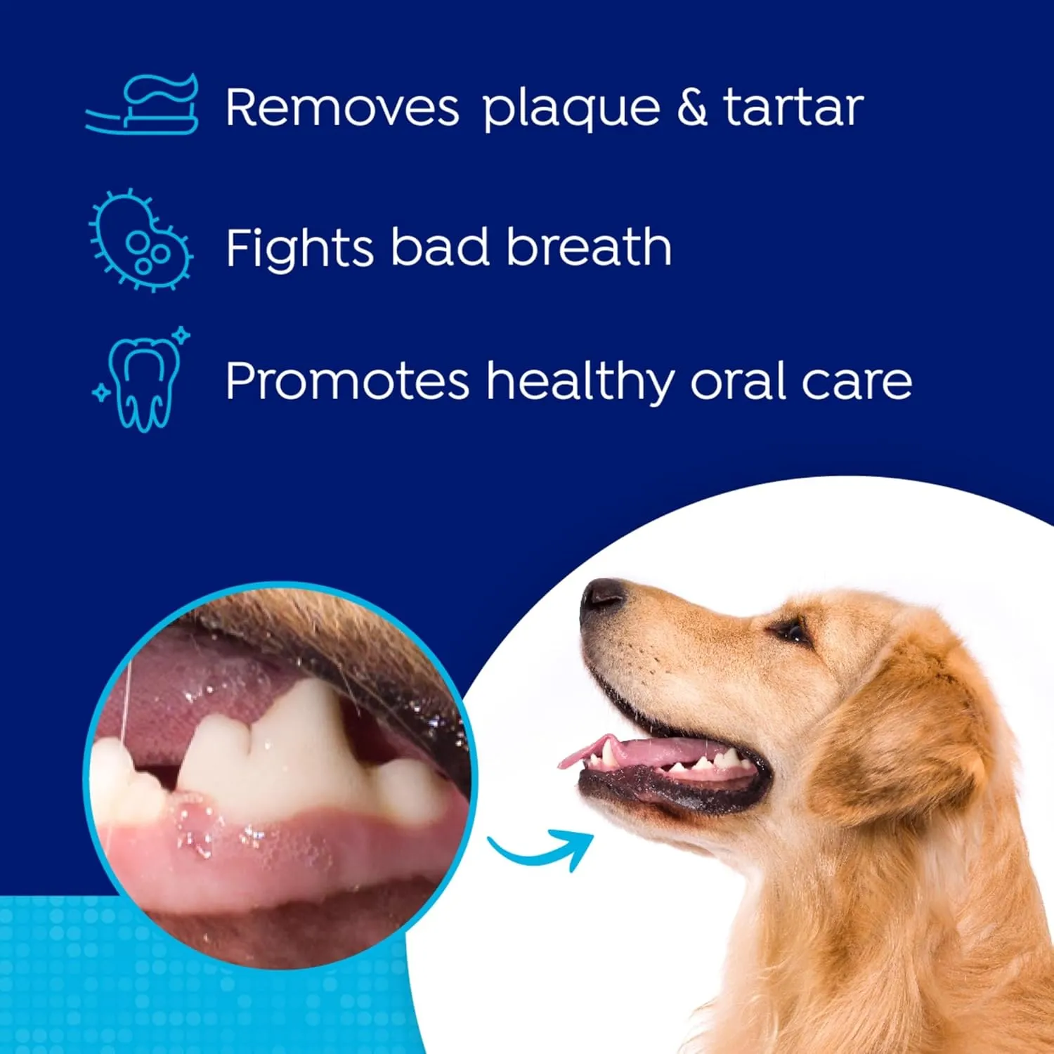 Fresh Dental Plus Glucosamine for Hip & Joint Water Additive for Dogs, Dog Breath Freshener and Teeth Cleaning Solution, No Toothpaste or Toothbrush Required, Vet Recommended, Made in the USA, 16oz.