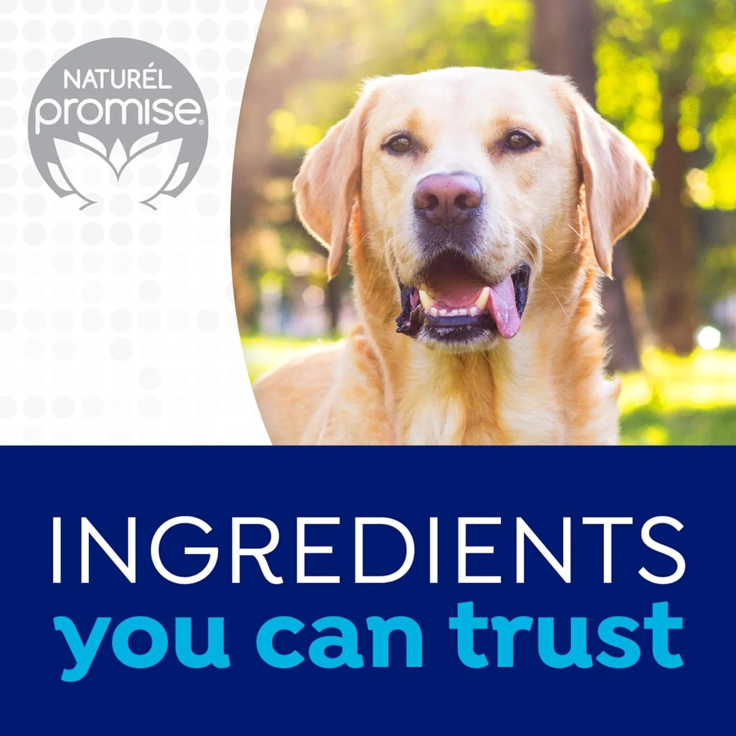 Fresh Dental Plus Glucosamine for Hip & Joint Water Additive for Dogs, Dog Breath Freshener and Teeth Cleaning Solution, No Toothpaste or Toothbrush Required, Vet Recommended, Made in the USA, 16oz.