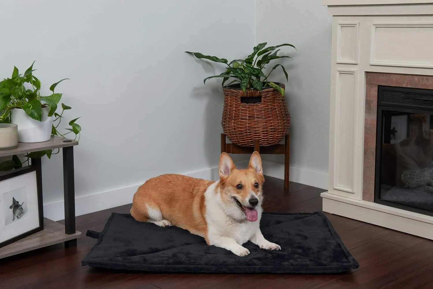 Furhaven ThermaNAP Self-Warming Cat Bed for Indoor Cats & Small Dogs, Washable & Reflects Body Heat - Quilted Faux Fur Reflective Bed Mat - Black, Small