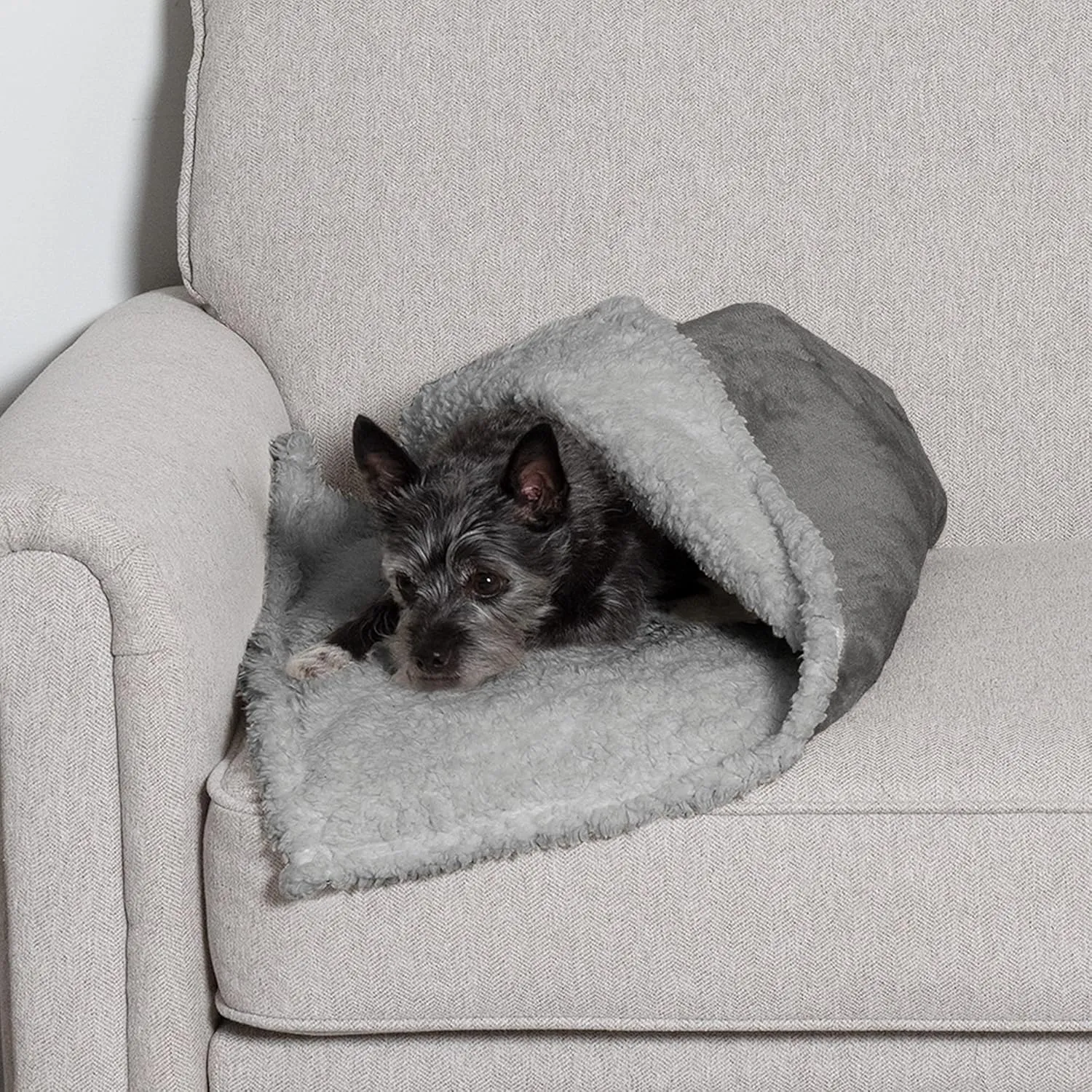 Furhaven Waterproof & Self-Warming Throw Blanket for Dogs & Indoor Cats, Washable & Reflects Body Heat - Soft-Edged Terry & Sherpa Dog Blanket - Silver Gray, Small