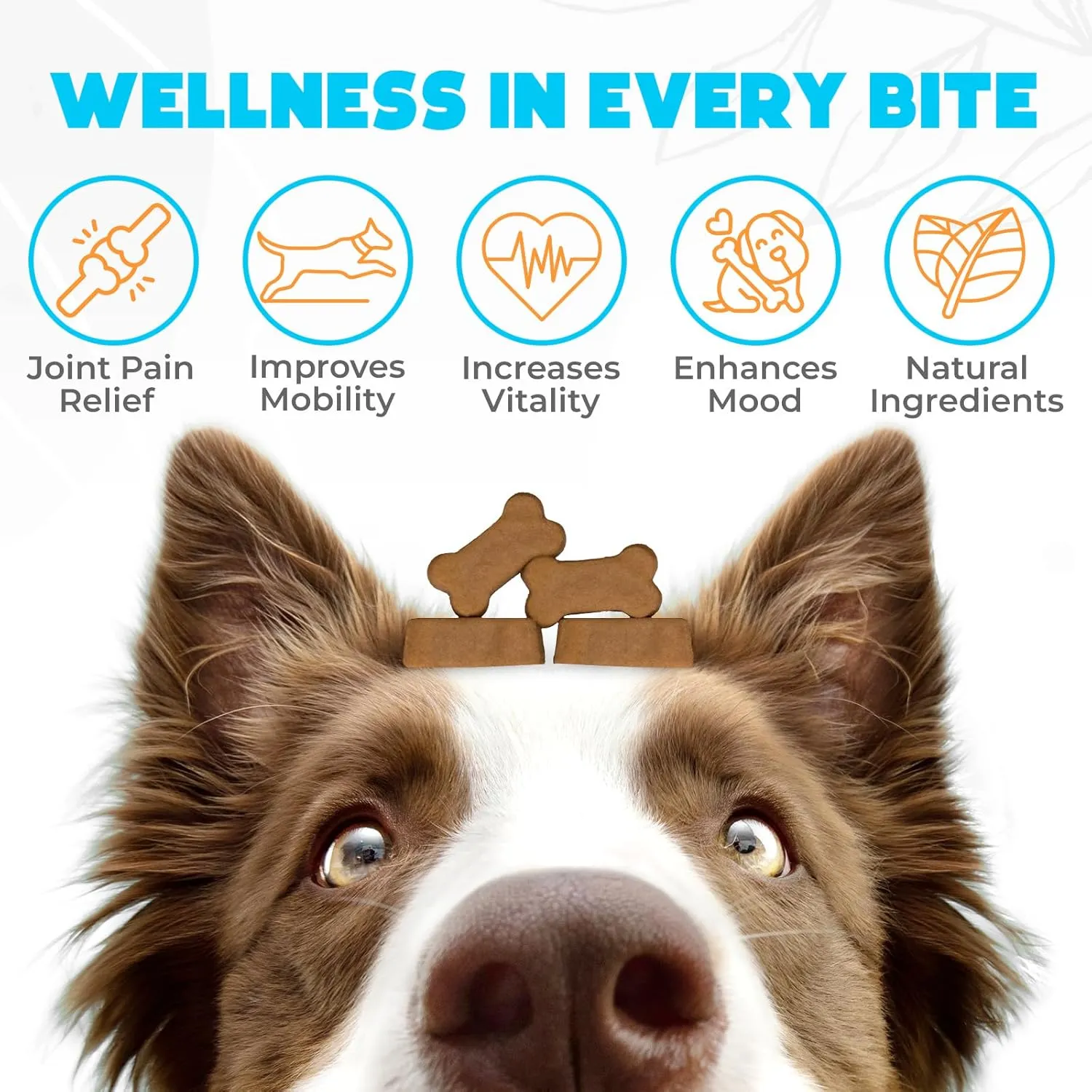 Glucosamine HCL & Hip and Joint Supplement for Dogs - 150 pcs - Hip and Joint Chews for Dogs - Vet Approved US Formula with MSM & Green Lipped Mussel - Chicken