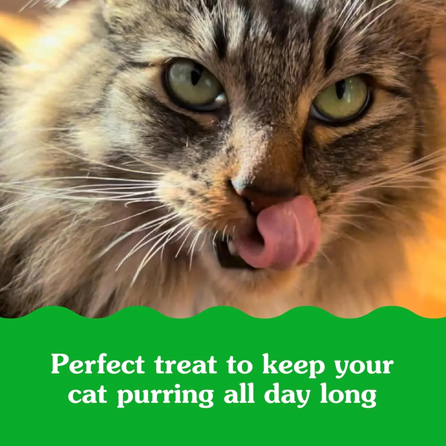 Greenies Feline Smartbites Skin & Fur Crunchy and Soft Natural Cat Treats, Chicken Flavor, 4.6 oz. Pouch