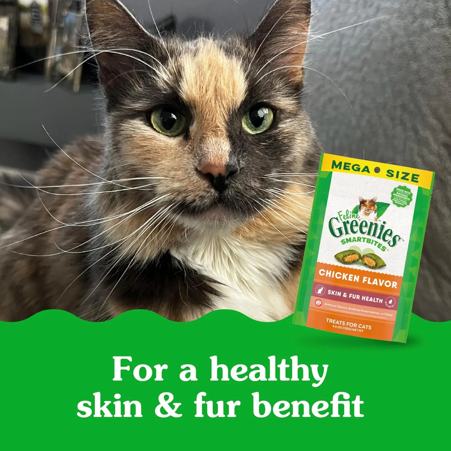 Greenies Feline Smartbites Skin & Fur Crunchy and Soft Natural Cat Treats, Chicken Flavor, 4.6 oz. Pouch