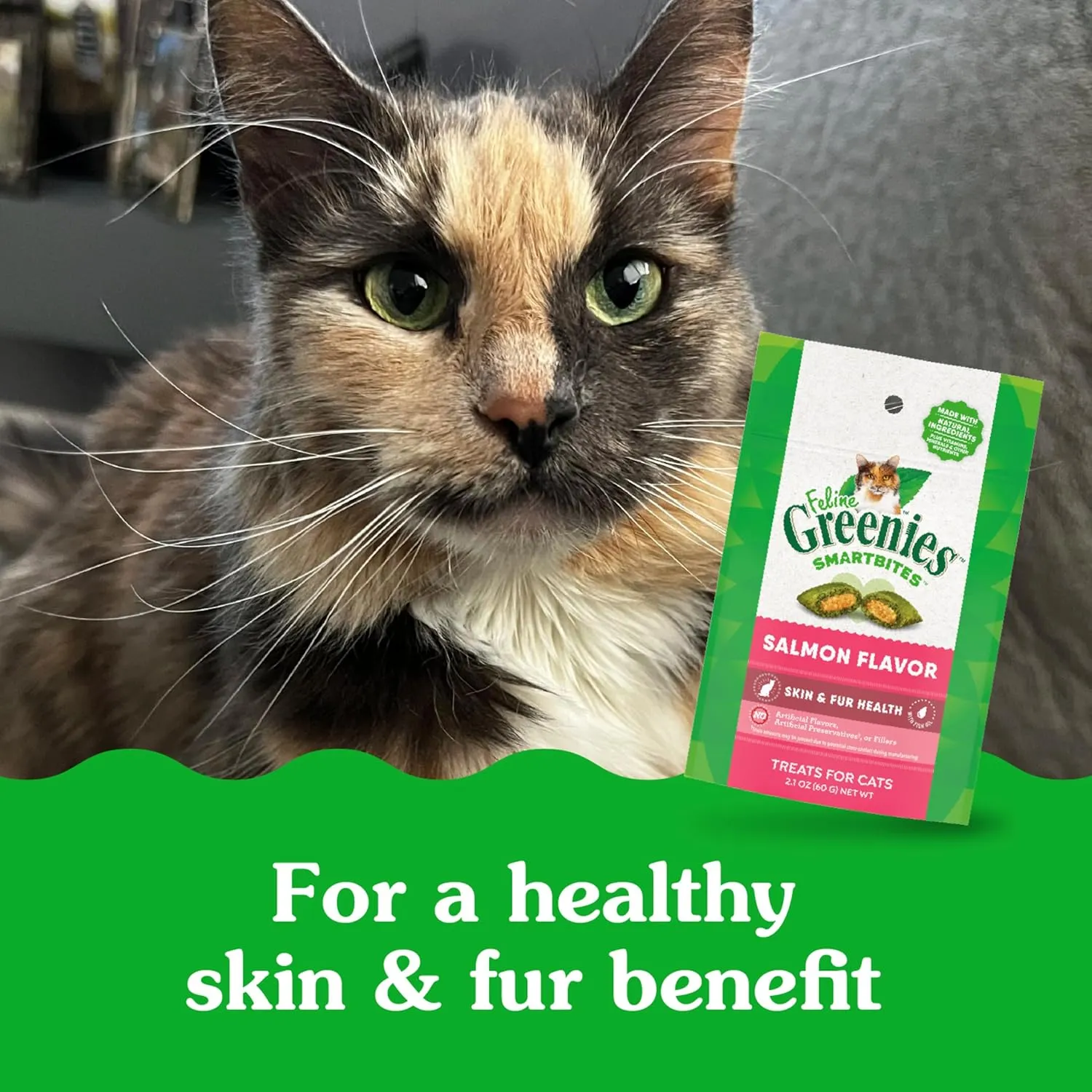 Greenies Feline Smartbites Skin & Fur Crunchy and Soft Natural Cat Treats, Salmon Flavor, 2.1 oz. Pouch