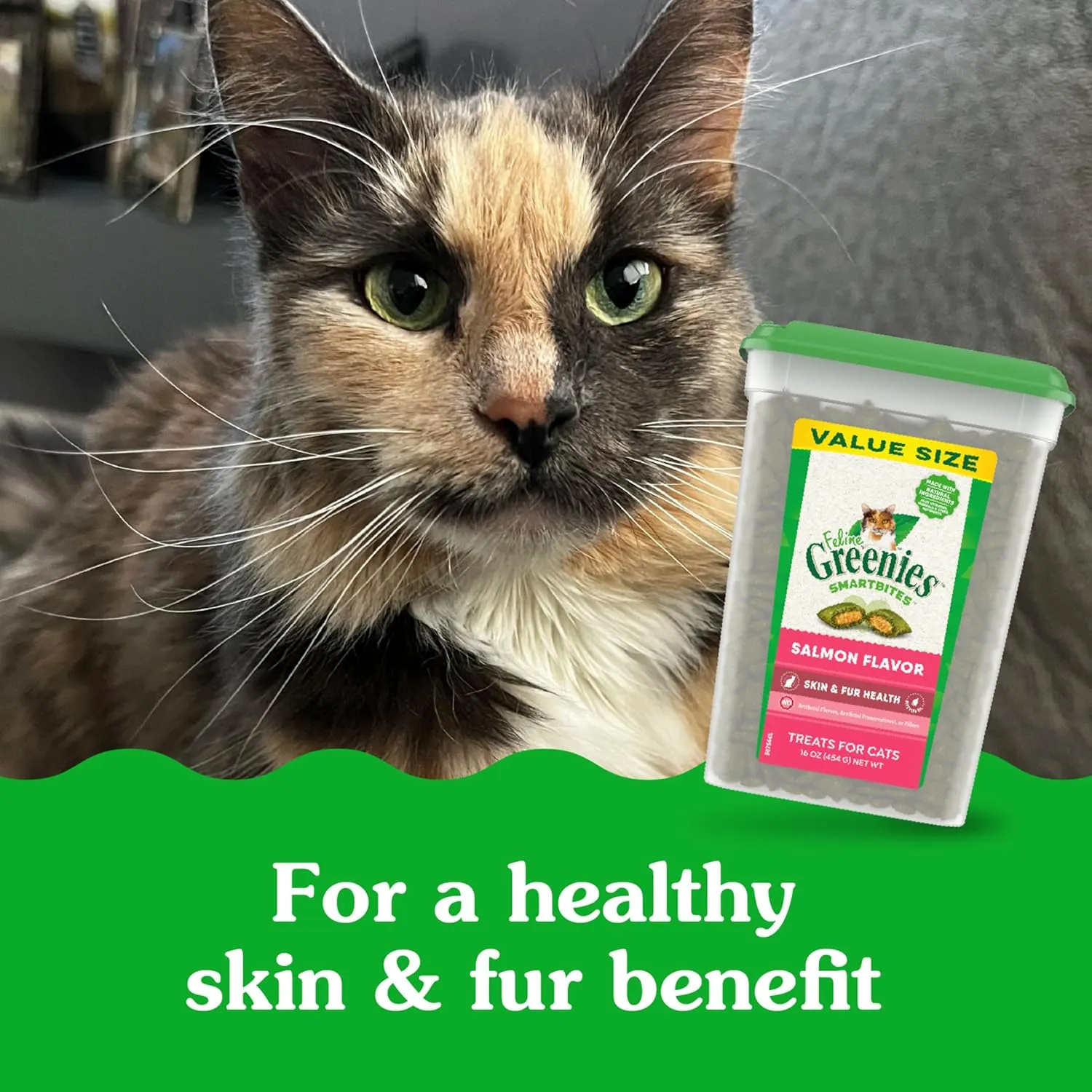 Greenies Feline Smartbites Skin & Fur Health Crunchy and Soft Natural Cat Treats, Salmon Flavor, 16 oz. Tub