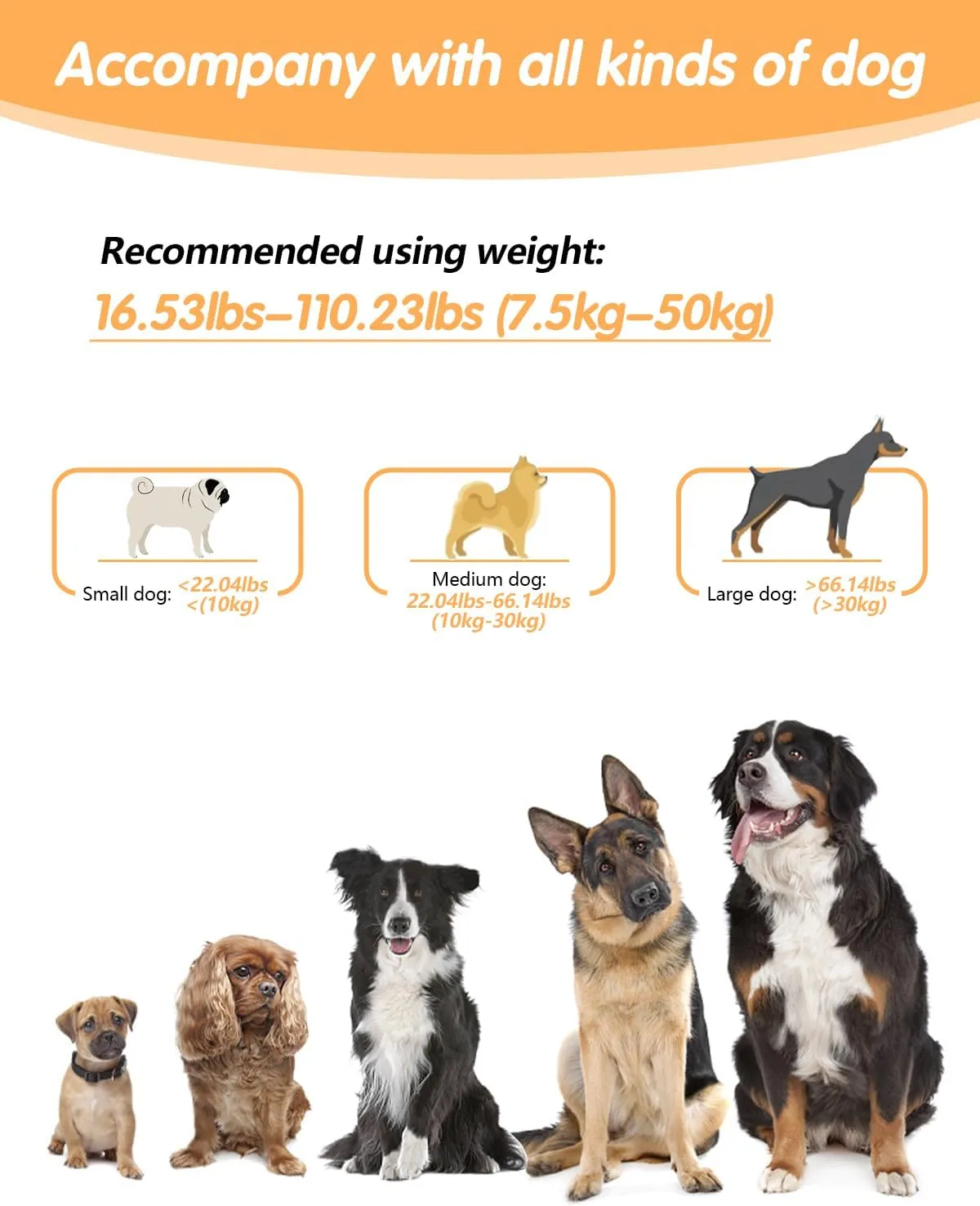 Hands Free Dog Leash, Multifunctional Crossbody Heavy Duty Dog Leash, 9.5 ft Long Waist Belt with Car Safety Buckle for Medium and Large Dogs Walking,Jogging,Running,Training (Grey 5.9-9.5ft).