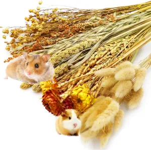Herb Bedding Hamster Natural Hamster Bedding Edible Flowers Herbs Sprays for Edible Grain Habitat Enclosure Decor Hamster Chews for Dwarf Syrian Gerbils Mice Mouse Rat Forage