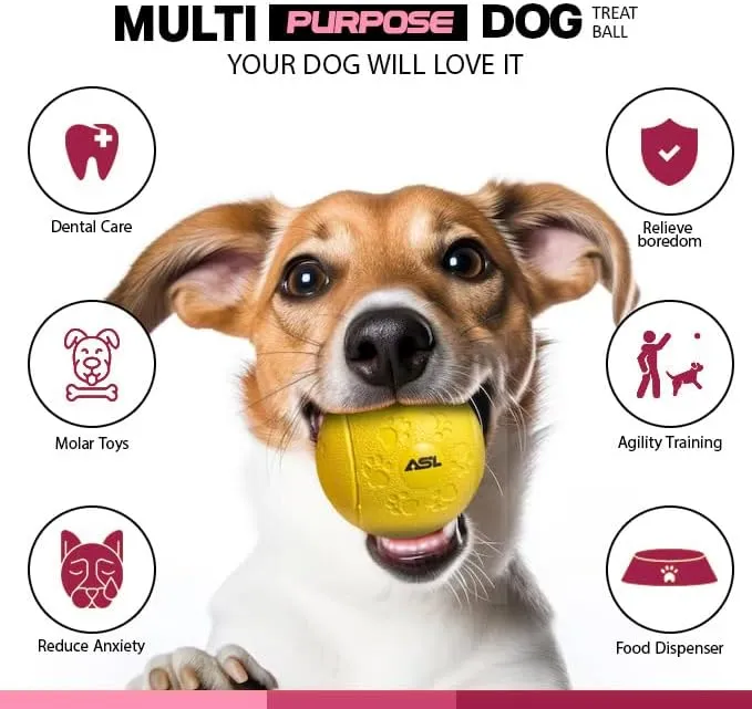 Interactive Dog Treat Ball, 2-Pack Durable Chew Balls for Puppies and Dogs
