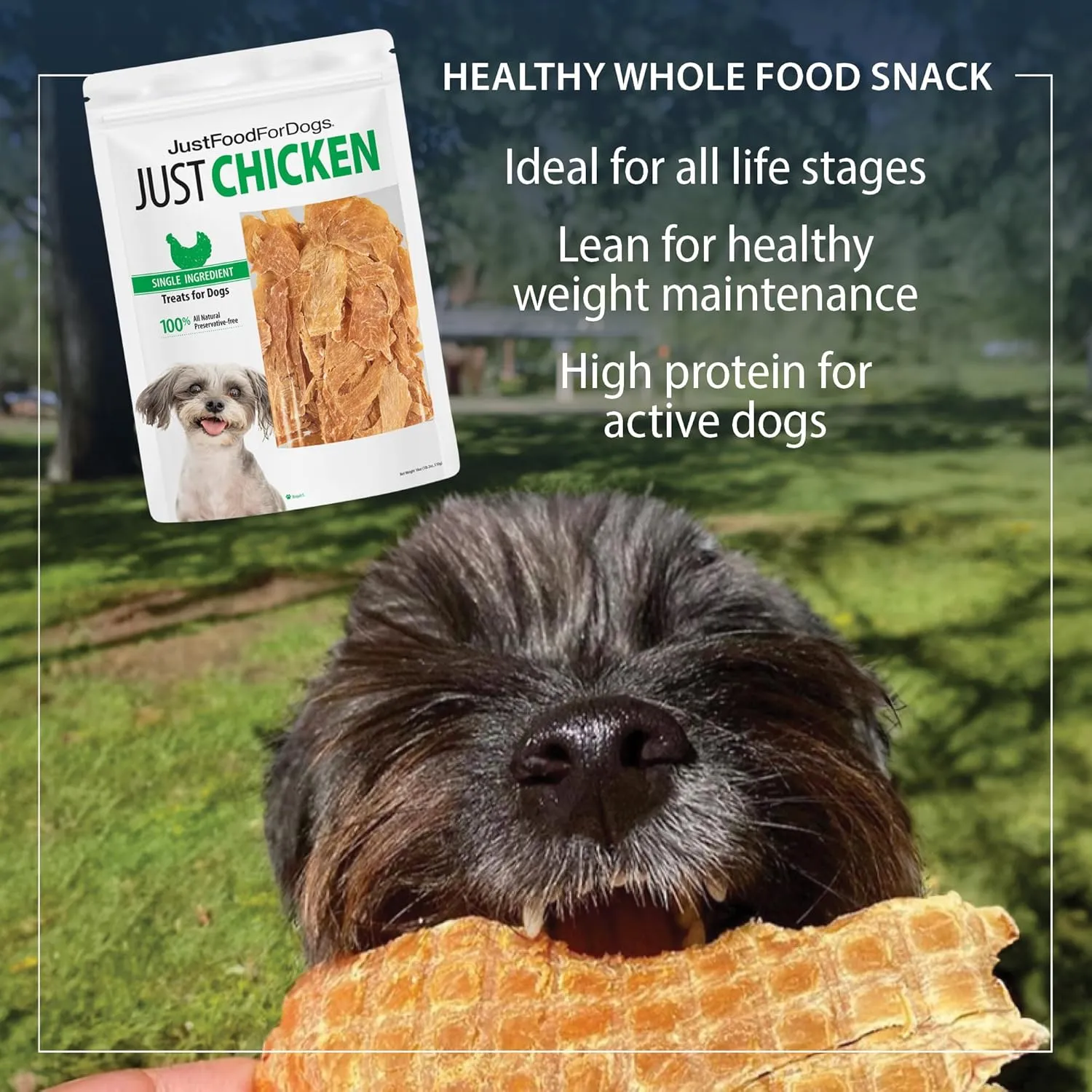 JustFoodForDogs Healthy Dog Treats, Single-Ingredient, Chicken Breast, 5 oz