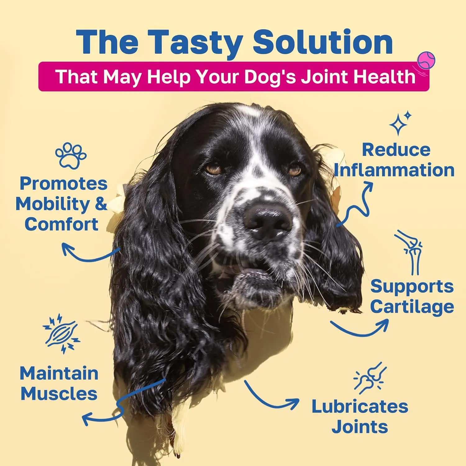 Mobility Hip & Joint Health Support for Dogs, Soft Chews with Glucosamine, Chondroitin, Msm, Green Lipped Mussel, Turmeric & Hyaluronic Acid, Organic, Bacon Flavor, 100 Count