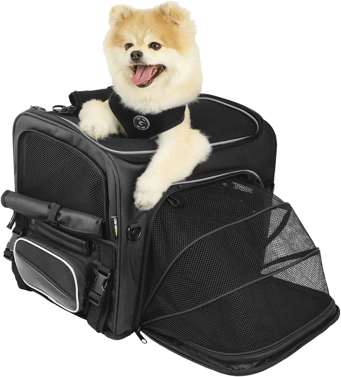 Nelson-Rigg Route 1 Rover Pet Carrier: Weather Resistant, Portable, and Secure Motorcycle pet Carrier/Crate; Fits Harley Davidson, Indian, Yamaha & Suzuki Motorcycles