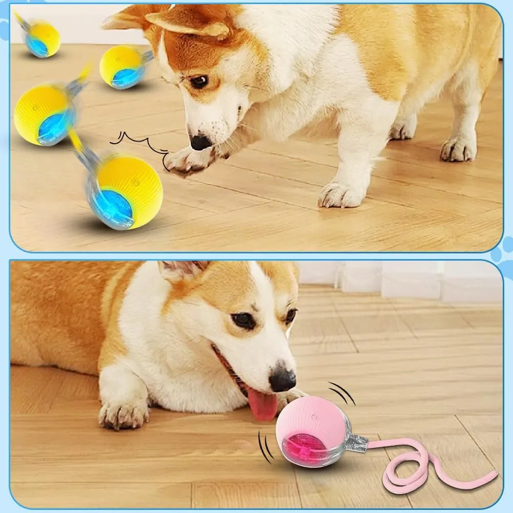 New Interactive Rolling Dog Ball, 360 Smart Interactive Pet Toy Ball, Self Rolling Cat Toys, Motion Activated Balls for Small Medium Dogs Cats (Blue)