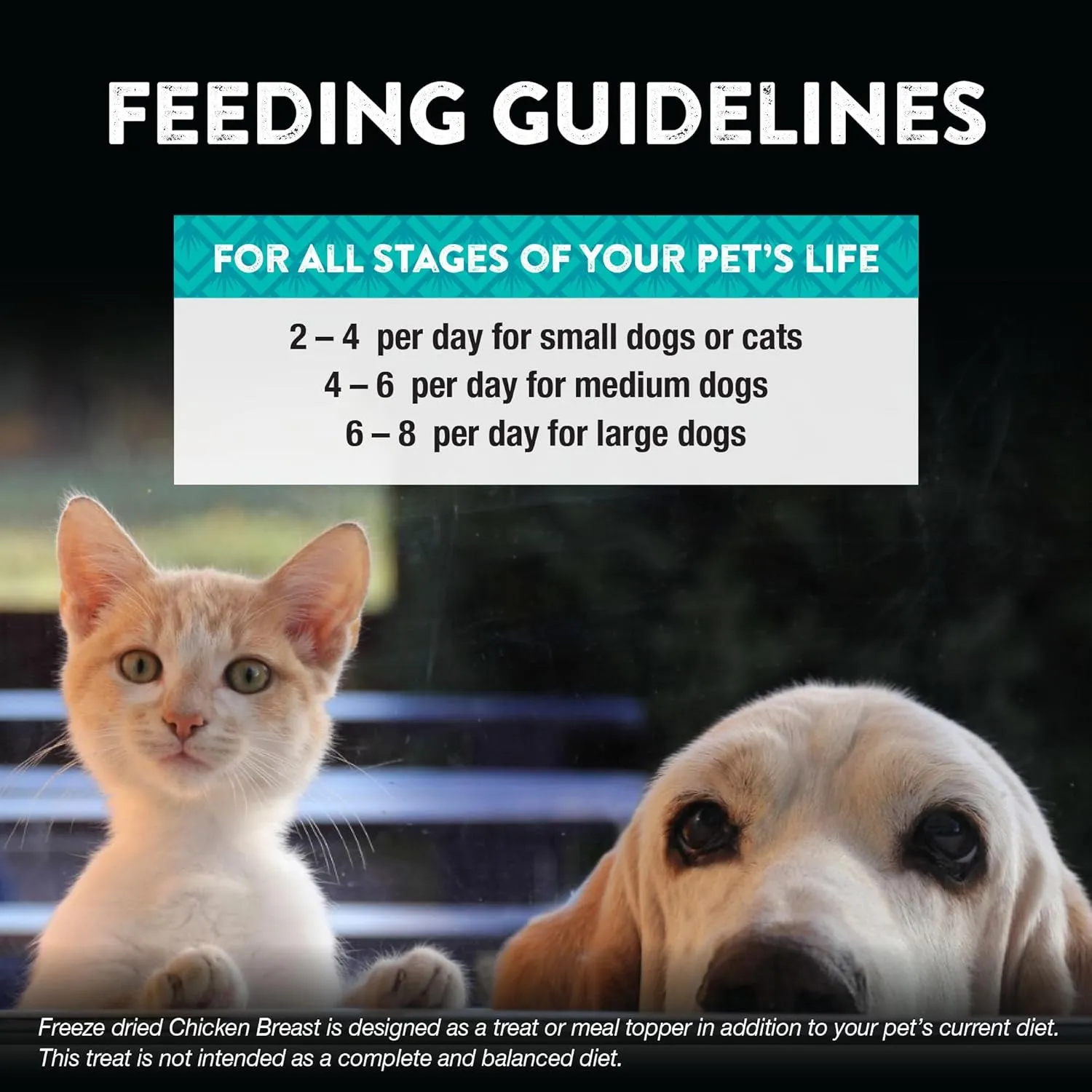 Northwest Naturals Raw Rewards Freeze-Dried Chicken Breast Treats for Dogs and Cats - Bite-Sized Pieces - Healthy, 1 Ingredient, Human Grade Pet Food, All Natural - 10 Oz