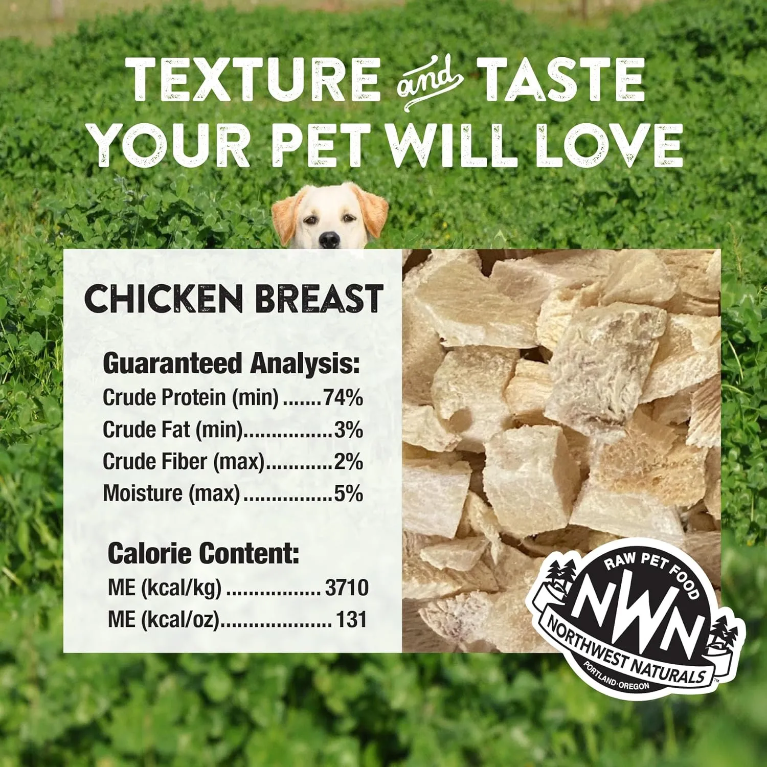 Northwest Naturals Raw Rewards Freeze-Dried Chicken Breast Treats for Dogs and Cats - Bite-Sized Pieces - Healthy, 1 Ingredient, Human Grade Pet Food, All Natural - 3 Oz