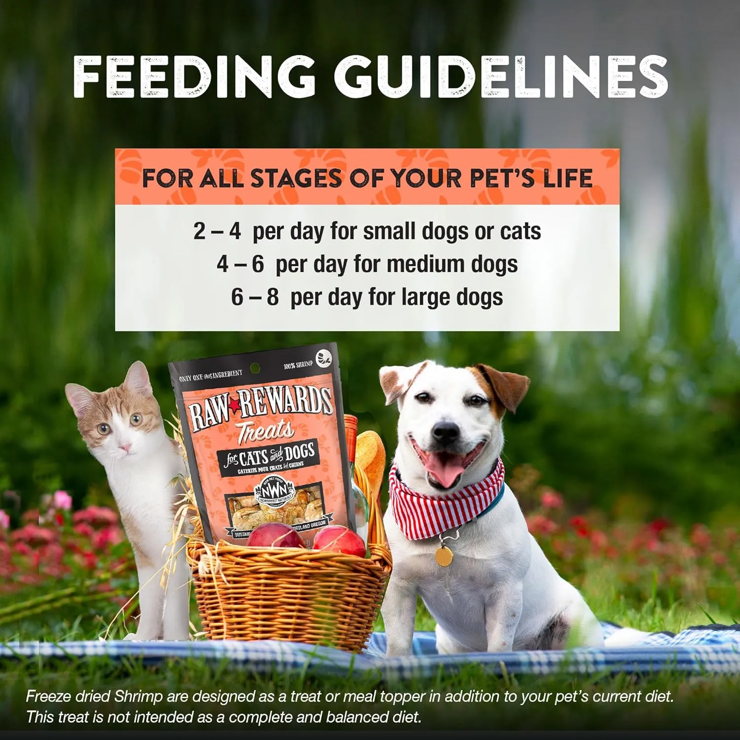 Northwest Naturals Raw Rewards Freeze-Dried Shrimp Treats for Dogs and Cats - Bite-Sized Pieces - Healthy, 1 Ingredient, Human Grade Pet Food, All Natural - 1 Oz