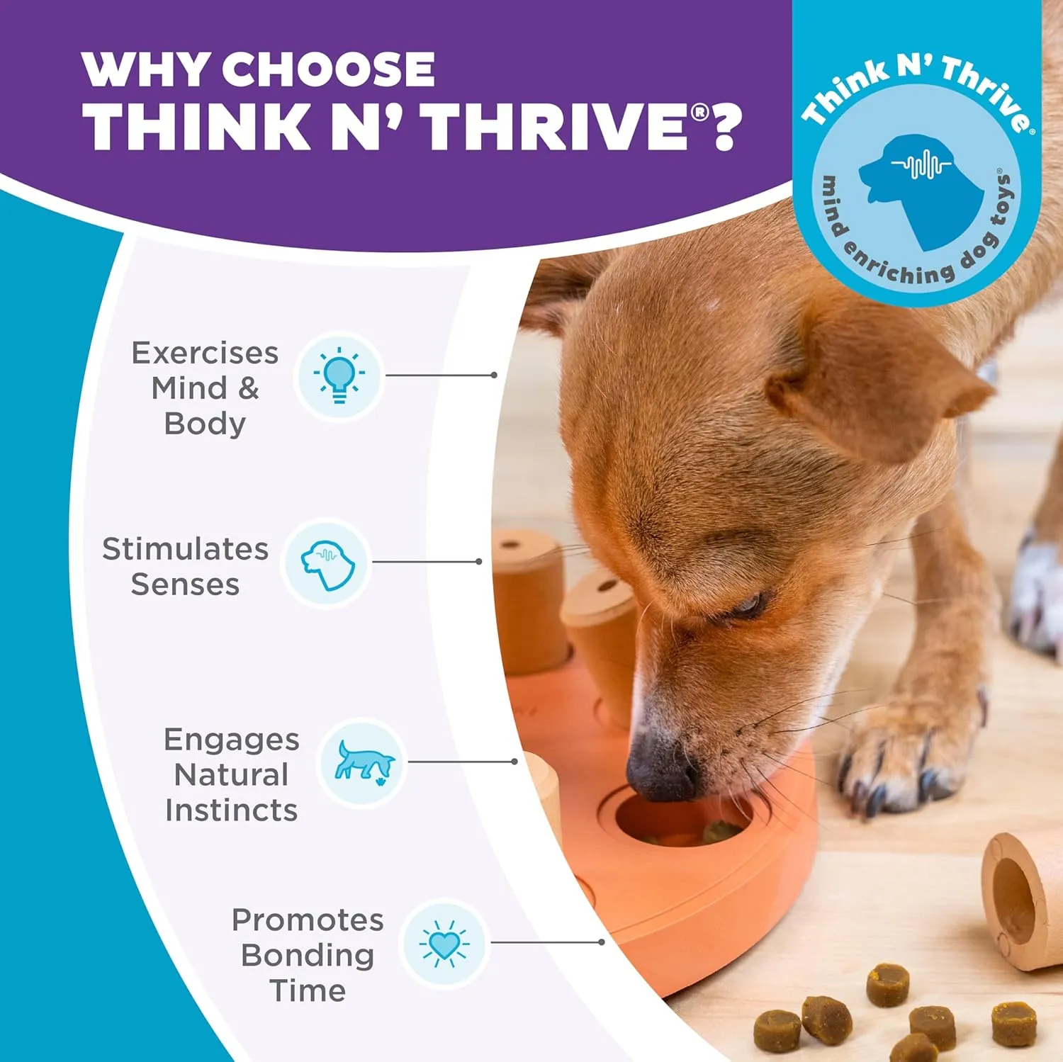 Outward Hound by Nina Ottosson Dog Smart Treat Puzzle Enrichment Toy, Level 1 Beginner, Orange, Composite