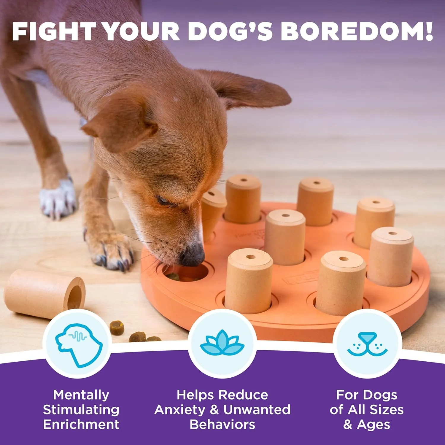 Outward Hound by Nina Ottosson Dog Smart Treat Puzzle Enrichment Toy, Level 1 Beginner, Orange, Composite