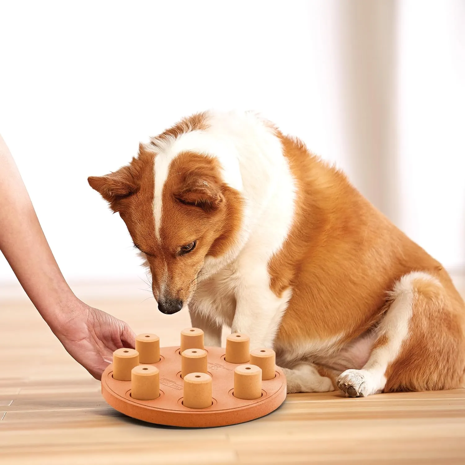 Outward Hound by Nina Ottosson Dog Smart Treat Puzzle Enrichment Toy, Level 1 Beginner, Orange, Composite