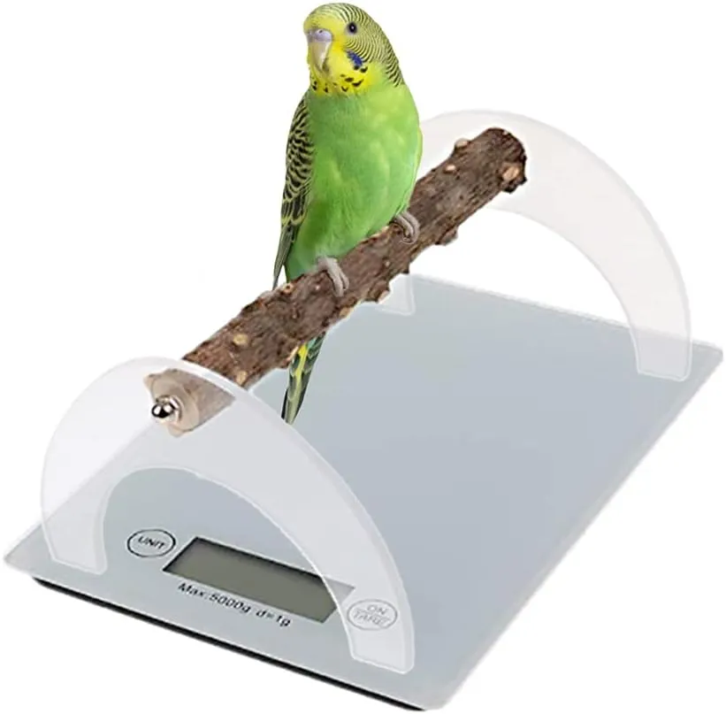 Parrot Training Weight Scale, Accurate Bird Measure Accessories with Perch for Macaw Cockatiel, Range 1G - 5000G